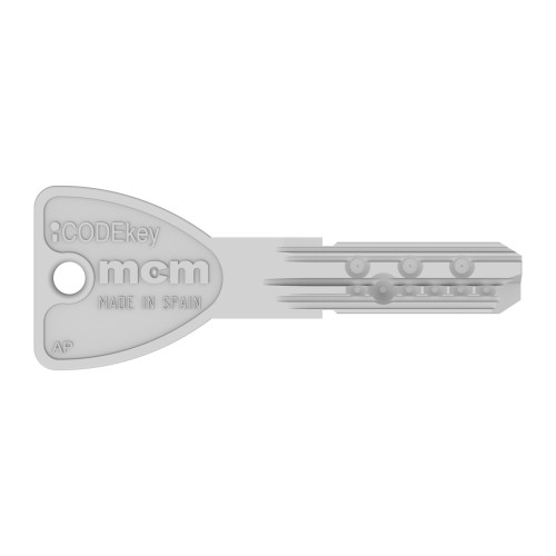 AP Klucz dorobiony / AP Key copy1