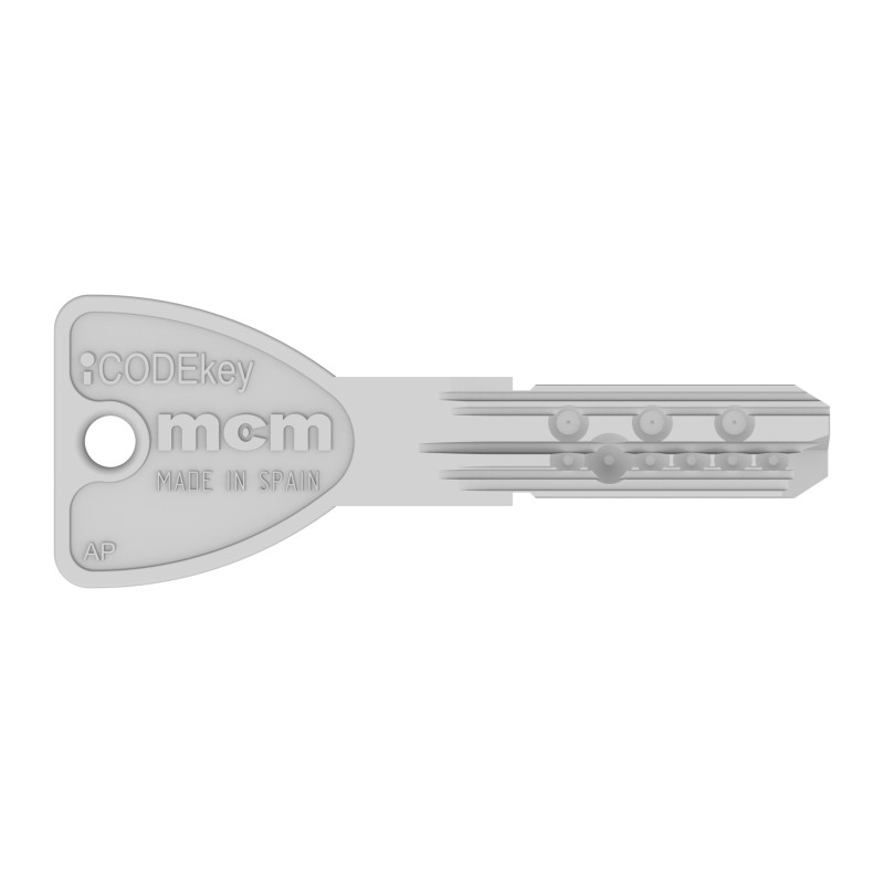 AP Klucz dorobiony / AP Key copy1